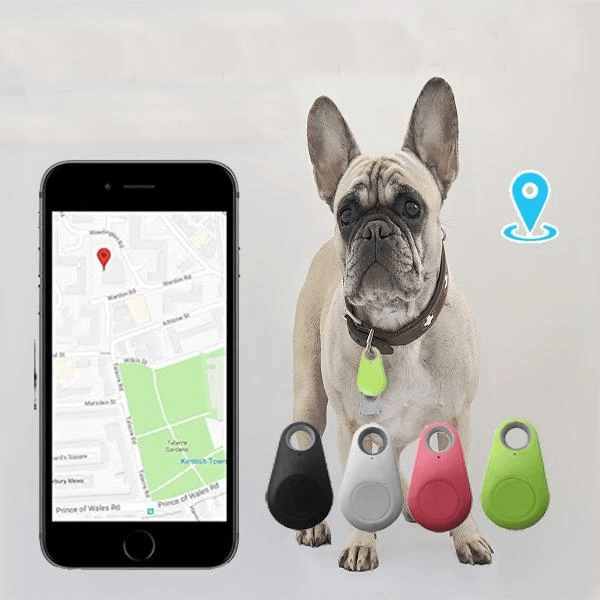 Pets GPS Tracker & Activity Monitor