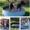 Portable Paw Pool